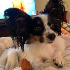 Meet your Posher, Stefanie